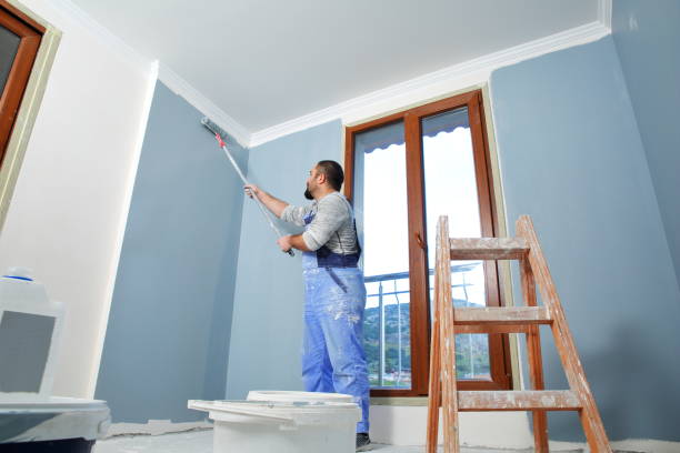 Best Industrial Mold Remediation  in Elida, OH