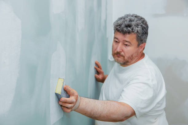 Best Mold Odor Removal Services  in Elida, OH