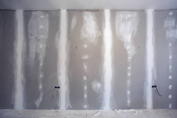 Best Attic Mold Removal  in Elida, OH